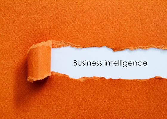 Business Intelligence In Textile & Apparel Industry